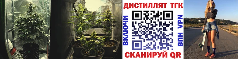 закладки  дарк нет формула  Дистиллят ТГК жижа  Анадырь 